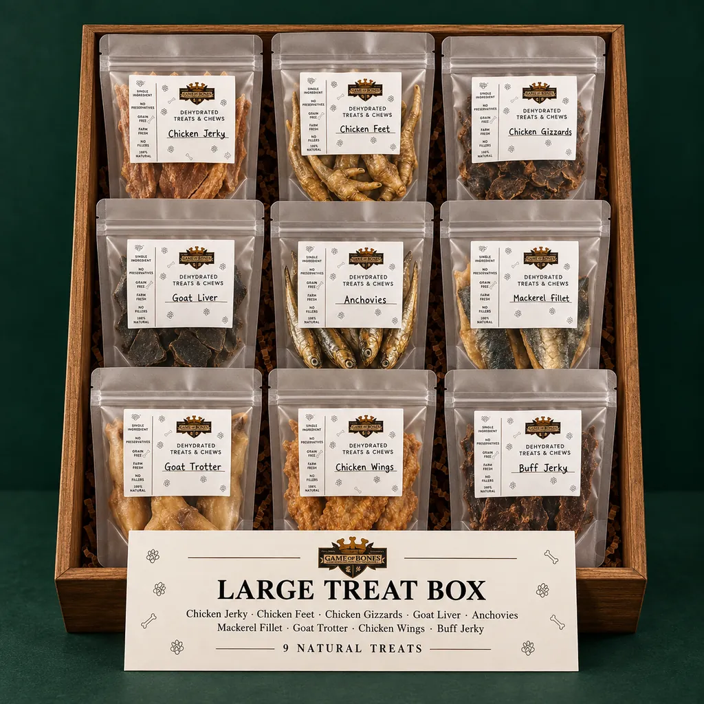 Large Treat Box